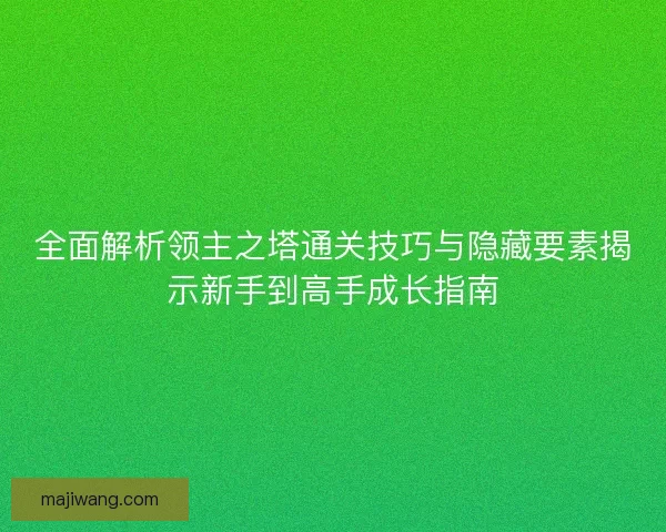 全面解析领主之塔通关技巧与隐藏要素揭示新手到高手成长指南
