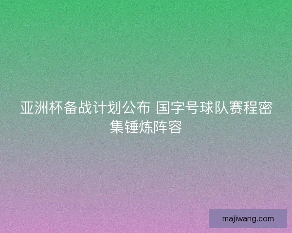 亚洲杯备战计划公布 国字号球队赛程密集锤炼阵容