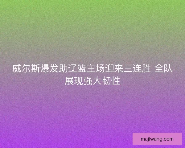 威尔斯爆发助辽篮主场迎来三连胜 全队展现强大韧性