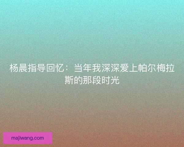 杨晨指导回忆:当年我深深爱上帕尔梅拉斯的那段时光 杨晨指导回忆:当年我深深爱上帕尔梅拉斯的那段时光